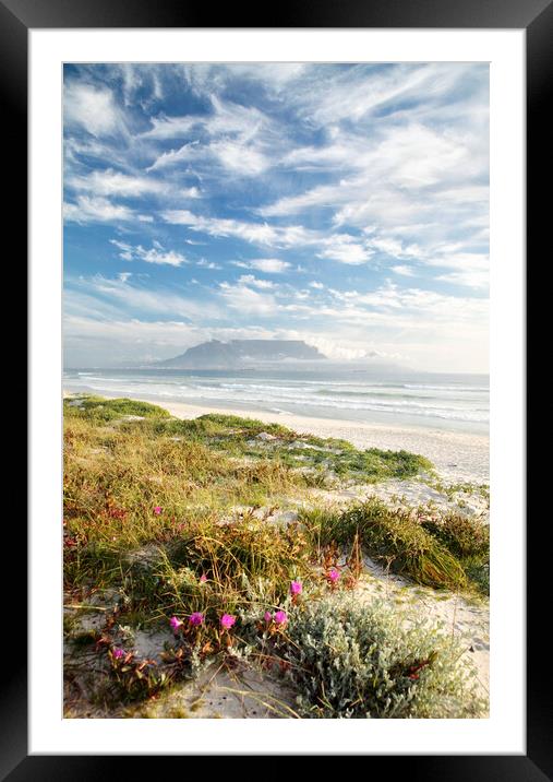 Cape Town from Table Bay Framed Mounted Print by Neil Overy