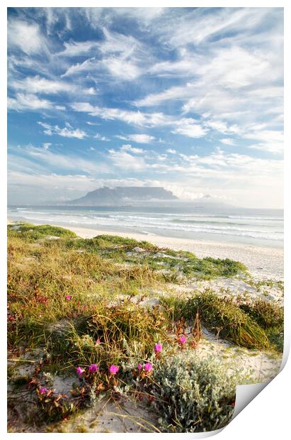 Cape Town from Table Bay Print by Neil Overy