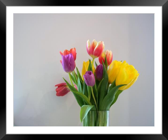 Tulips in vase Framed Mounted Print by Roy Hinchliffe