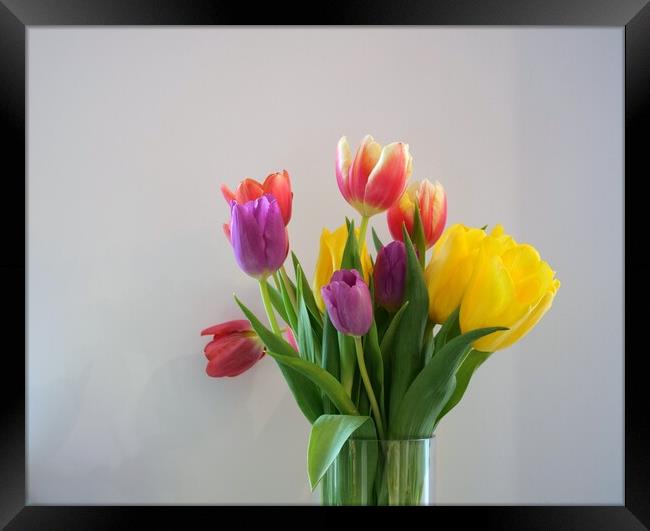 Tulips in vase Framed Print by Roy Hinchliffe