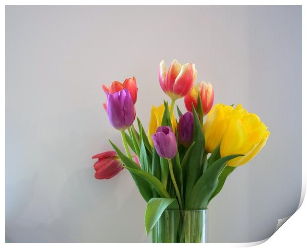 Tulips in vase Print by Roy Hinchliffe