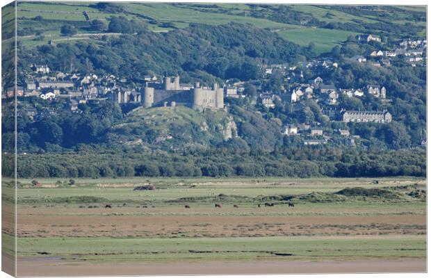 Harlech castle North Wales Canvas Print by mark humpage