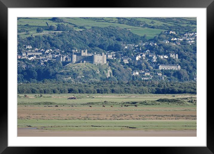 Harlech castle North Wales Framed Mounted Print by mark humpage