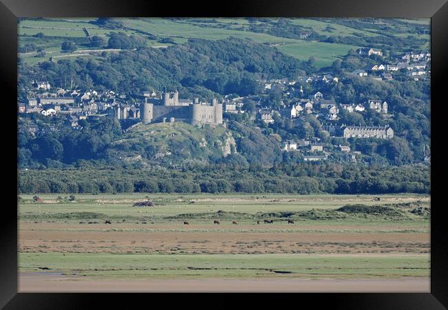 Harlech castle North Wales Framed Print by mark humpage