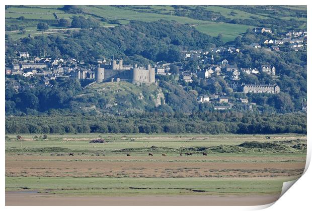 Harlech castle North Wales Print by mark humpage