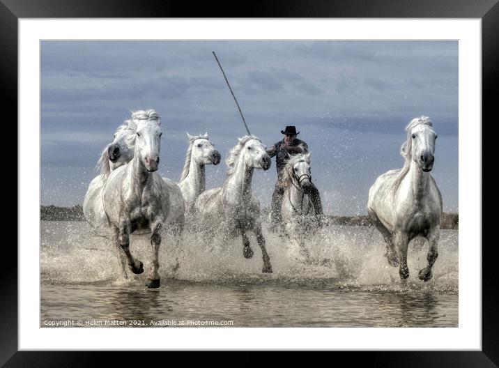 Wild Rounding up the Camargue white Horses Framed Mounted Print by Helkoryo Photography