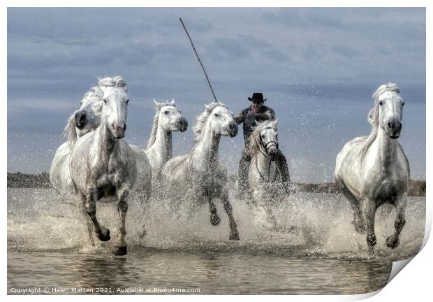 Wild Rounding up the Camargue white Horses Print by Helkoryo Photography