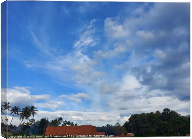 Beautiful blue sky and coconut tree ,a view from kerala  Canvas Print by Anish Punchayil Sukumaran