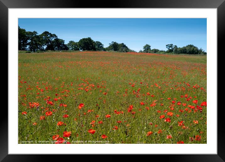Poppy Field Framed Mounted Print by Graham Dobson