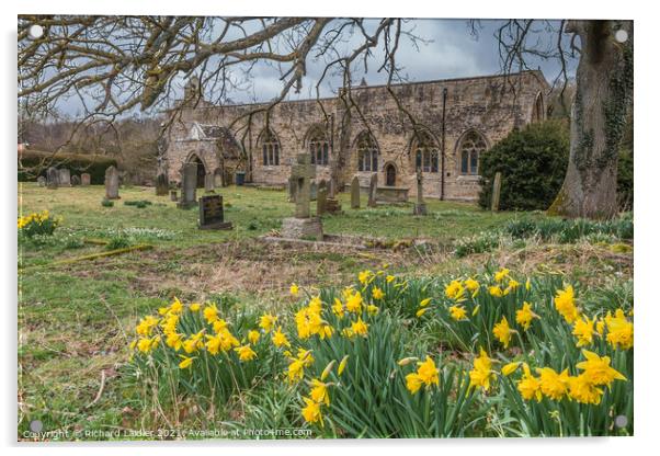 Daffodils in St Marys Parish Churchyard, Wycliffe, Teesdale Acrylic by Richard Laidler