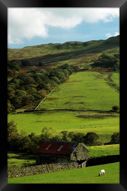 View North of Ambleside, Cumbria Framed Print by Neil Overy