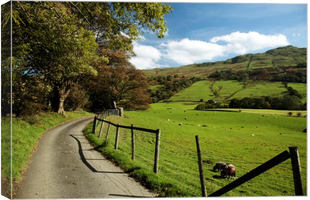 Valley and Road to the North of Ambleside Canvas Print by Neil Overy