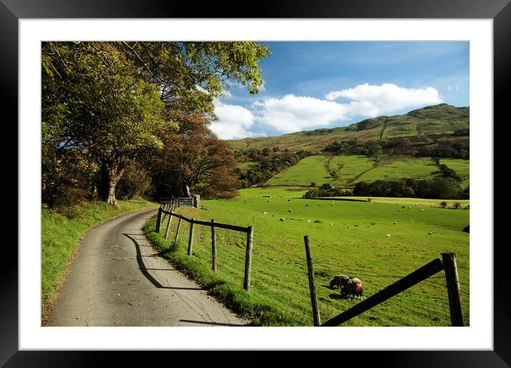 Valley and Road to the North of Ambleside Framed Mounted Print by Neil Overy