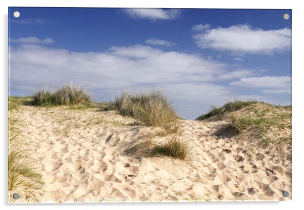 Walberswick Beach Sand Dunes Acrylic by Jim Key