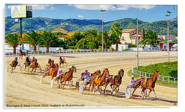 Palma Trotting Race Acrylic by Peter F Hunt