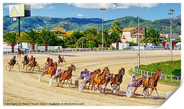 Palma Trotting Race Print by Peter F Hunt