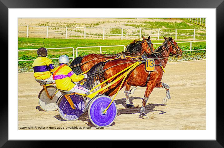 Warming Up For The Race Framed Mounted Print by Peter F Hunt