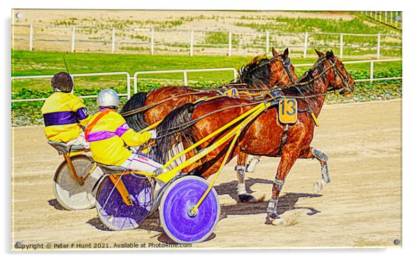 Warming Up For The Race Acrylic by Peter F Hunt