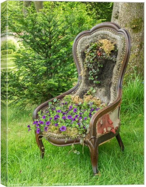 Old Chair with Viola Cushion Canvas Print by JUDI LION