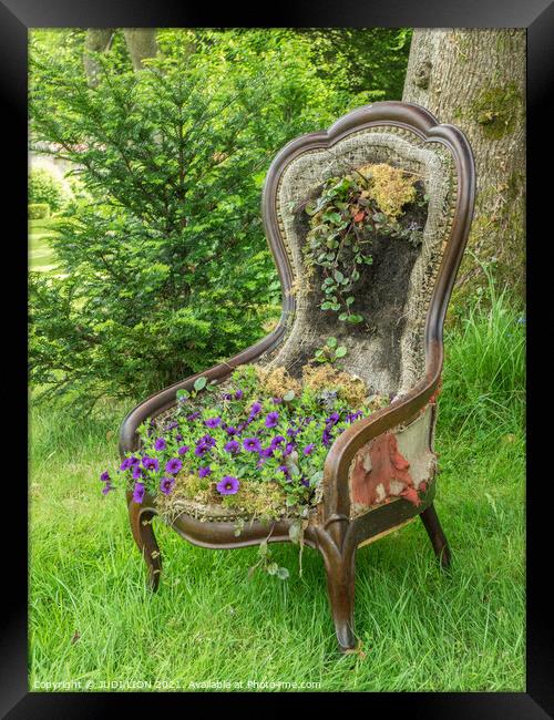 Old Chair with Viola Cushion Framed Print by JUDI LION