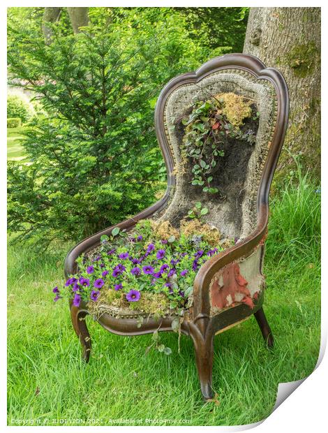 Old Chair with Viola Cushion Print by JUDI LION