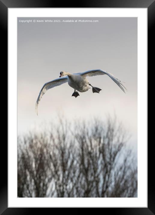 Look I can fly Framed Mounted Print by Kevin White