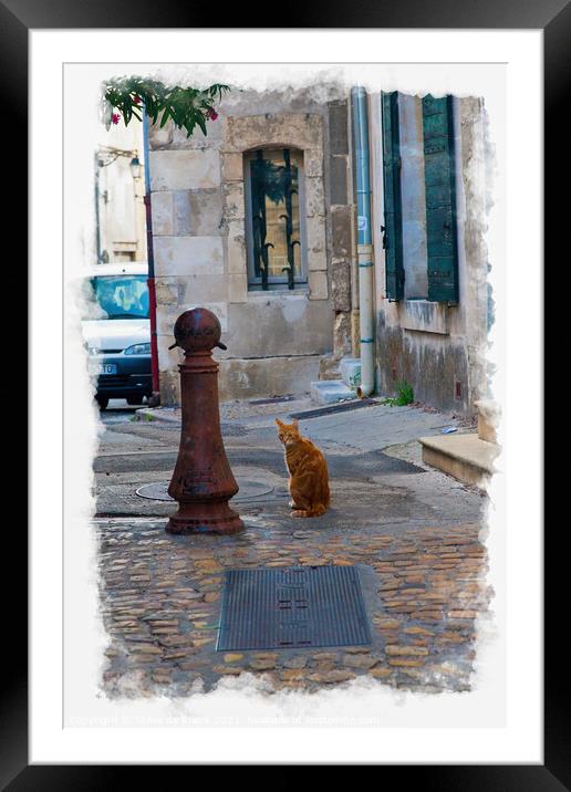 Cat In A Back Alley, Arles Framed Mounted Print by Steve de Roeck