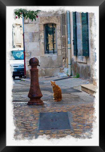 Cat In A Back Alley, Arles Framed Print by Steve de Roeck