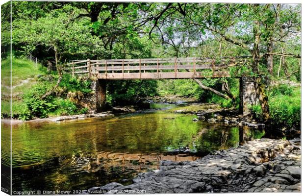 Footbridge over the River Mellte on the Waterfall  Canvas Print by Diana Mower