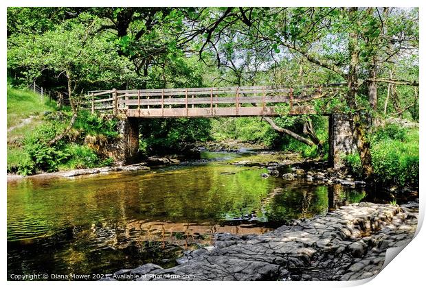 Footbridge over the River Mellte on the Waterfall  Print by Diana Mower