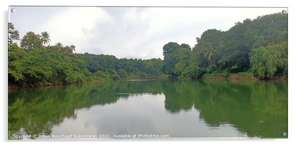 a view of meenachil river in kerala Acrylic by Anish Punchayil Sukumaran