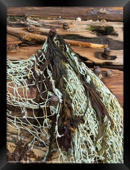 Driftwood and fishing net, Isle of Colonsay, Scotland Framed Print by Photimageon UK