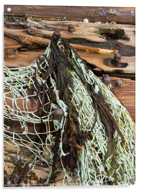 Driftwood and fishing net, Isle of Colonsay, Scotland Acrylic by Photimageon UK