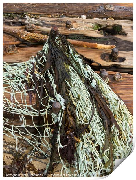 Driftwood and fishing net, Isle of Colonsay, Scotland Print by Photimageon UK