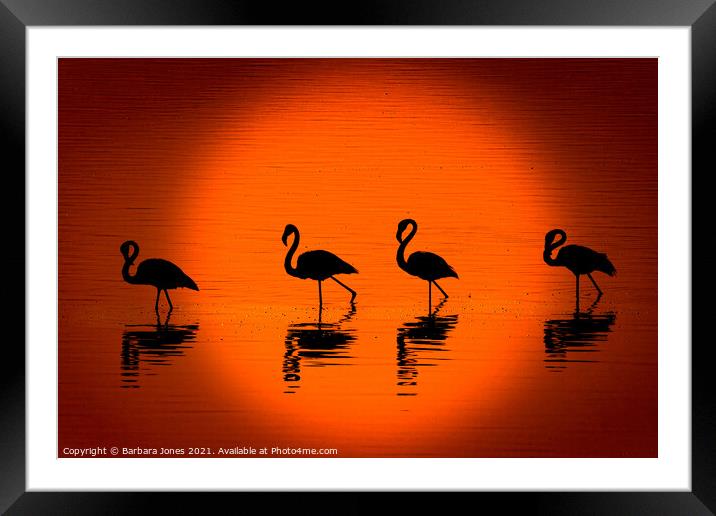 Flamingos at Sunset Nakuru Kenya Africa Framed Mounted Print by Barbara Jones