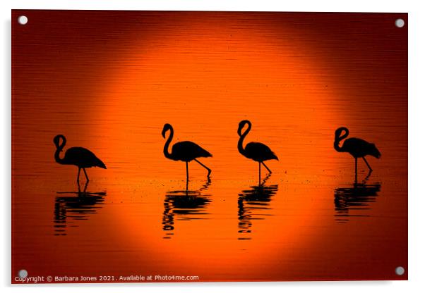 Flamingos at Sunset Nakuru Kenya Africa Acrylic by Barbara Jones