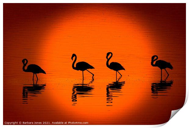 Flamingos at Sunset Nakuru Kenya Africa Print by Barbara Jones