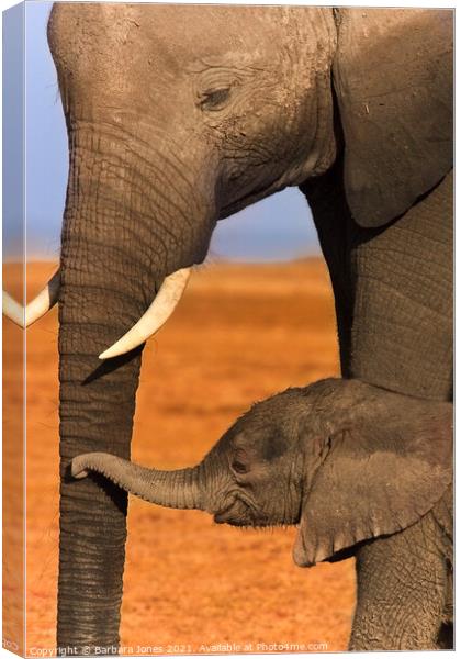 Heartwarming Bond between Elephant Calf and Mother Canvas Print by Barbara Jones