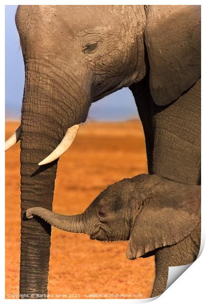 Heartwarming Bond between Elephant Calf and Mother Print by Barbara Jones