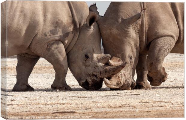 Epic Rhinoceros Battle in Nakuru Canvas Print by Barbara Jones