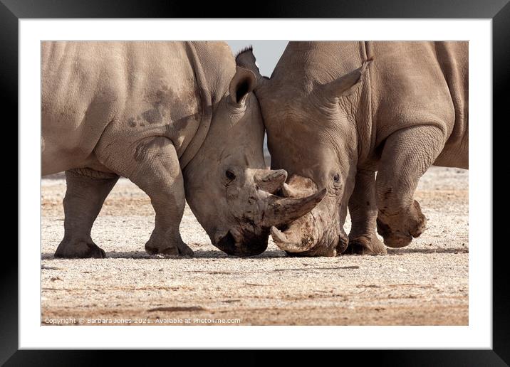 Epic Rhinoceros Battle in Nakuru Framed Mounted Print by Barbara Jones