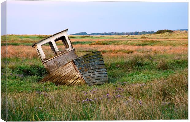 Stranded on the Marsh Canvas Print by Francesca Shearcroft