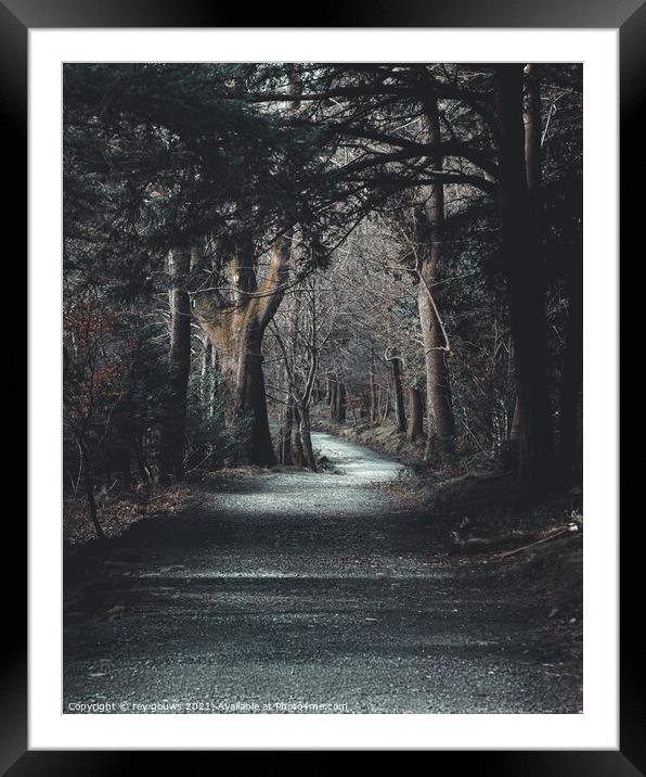 Northern Ireland, tollymore Framed Mounted Print by rey gouws