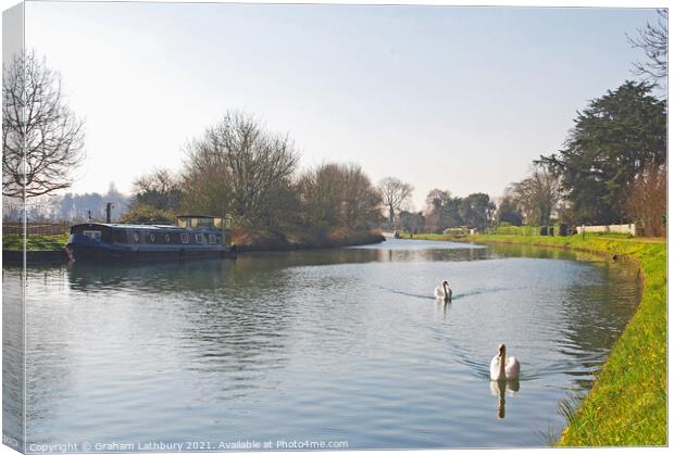 Swans on the Gloucester & Sharpness Canal, Frampton Canvas Print by Graham Lathbury