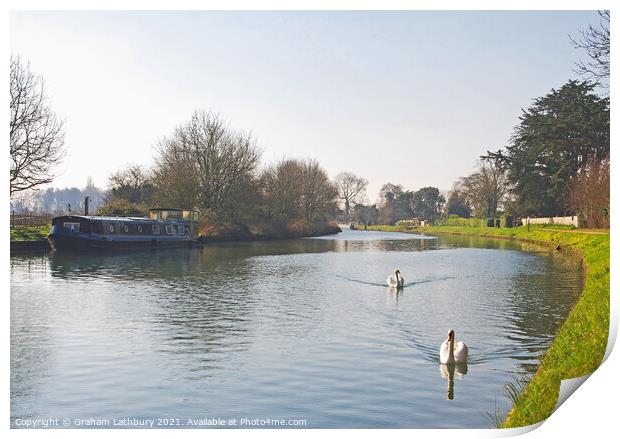 Swans on the Gloucester & Sharpness Canal, Frampton Print by Graham Lathbury