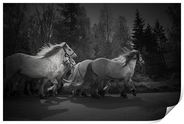the Queen's horses Print by Dorit Fuhg