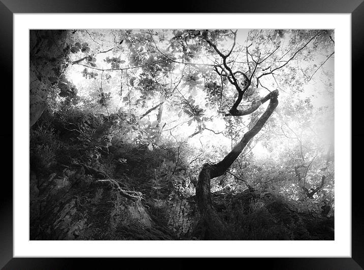 forgetting Framed Mounted Print by Dorit Fuhg