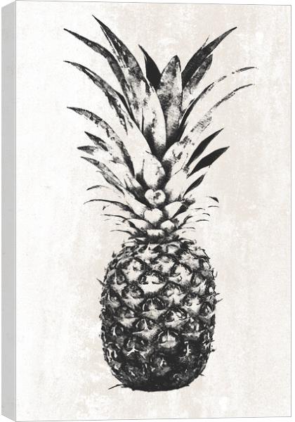 Trendy pineapple fruit decoration in BW Canvas Print by Wdnet Studio
