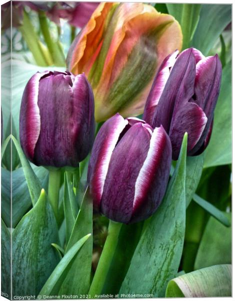  Trio of Tulips Canvas Print by Deanne Flouton