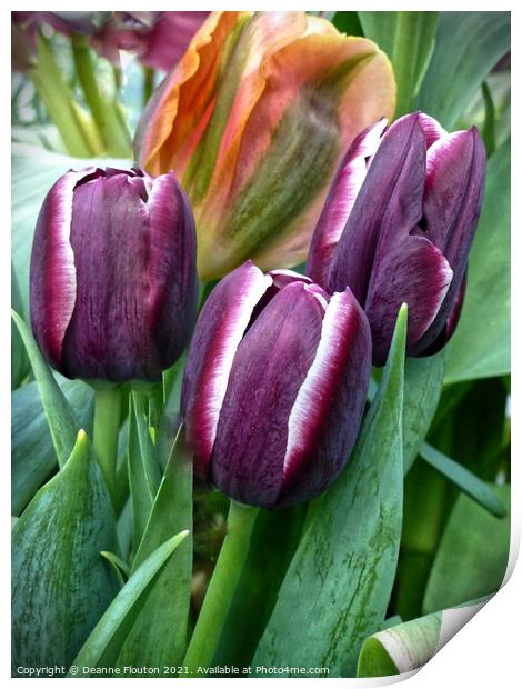 Trio of Tulips Print by Deanne Flouton